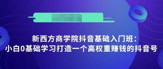 抖音基础入门班:小白0基础学习打造一个高权重赚钱的抖音号-课程网
