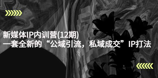 新媒体IP内训营(12期),一套全新的“公域引流,私域成交”IP打法,直接带走-课程网